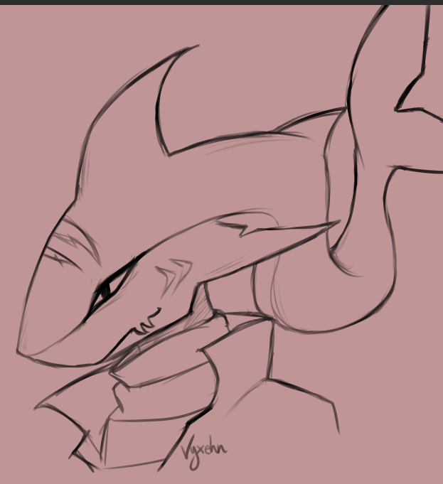 2024-10-10_tenmei_sharkfloe