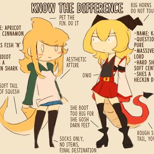 2017-07-11_00-48-16_now-the-difference