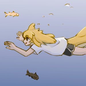 2019-03-27_yazuto_apricot2