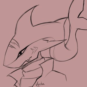 2024-10-10_tenmei_sharkfloe